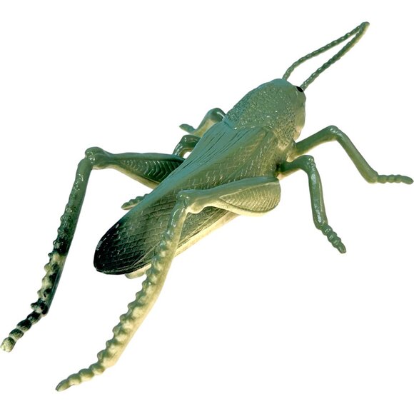 Beautifully Detailed Realistic American Grasshopper Insect Bug PVC Toy Figure‎ - Picture 3 of 6